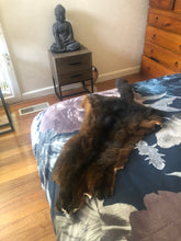 Load image into Gallery viewer, Possum skin
