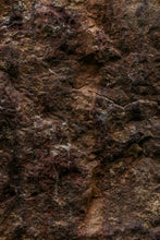 Load image into Gallery viewer, Snake Skin Jasper