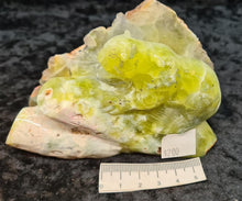 Load image into Gallery viewer, Prehnite Hand Carved Koala