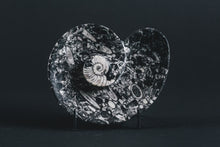 Load image into Gallery viewer, Fossil trinket dish