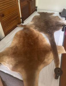 Kangaroo skin red