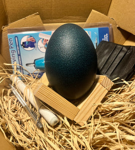 DIY Emu egg carving kit