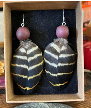 Load image into Gallery viewer, Red tailed black cockatoo feather earrings
