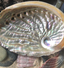 Load image into Gallery viewer, Abalone Smudge Shell
