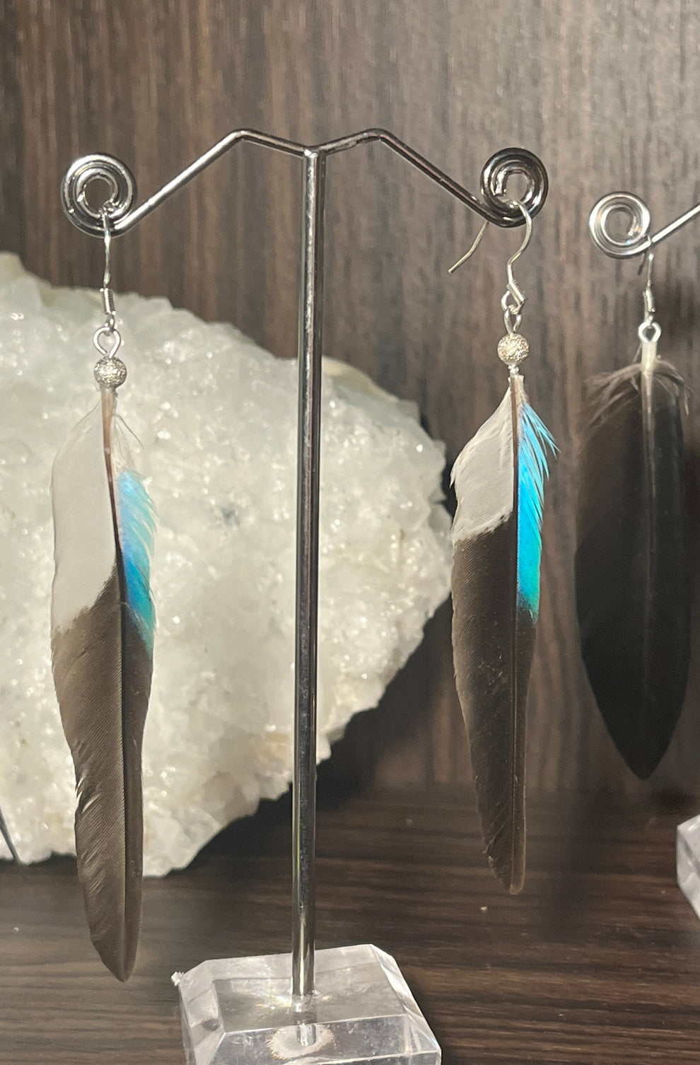 blue winged kookaburra feather earrings