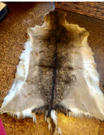 Deer Skin / Pelt