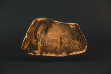 Load image into Gallery viewer, Fossil wood polished slab
