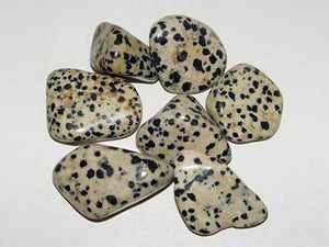 Dalmatian Jasper Tumble