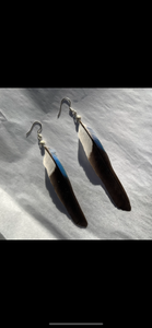 blue winged kookaburra feather earrings