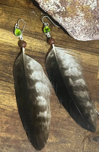 Load image into Gallery viewer, Wedge tailed eagle feather earrings
