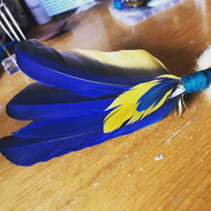 Blue Macaw Smoke fan