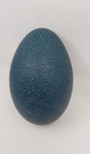 Load image into Gallery viewer, Emu Eggs (blown and disinfected)
