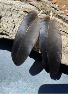 Waa (crow ) feather earrings