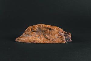 Fossil wood polished slab