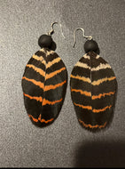 Red tailed black cockatoo feather earrings