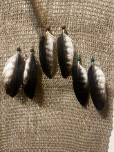 Load image into Gallery viewer, Wedge tailed eagle feather earrings
