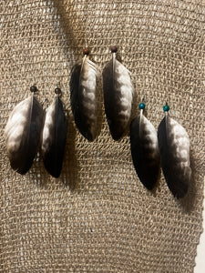 Wedge tailed eagle feather earrings